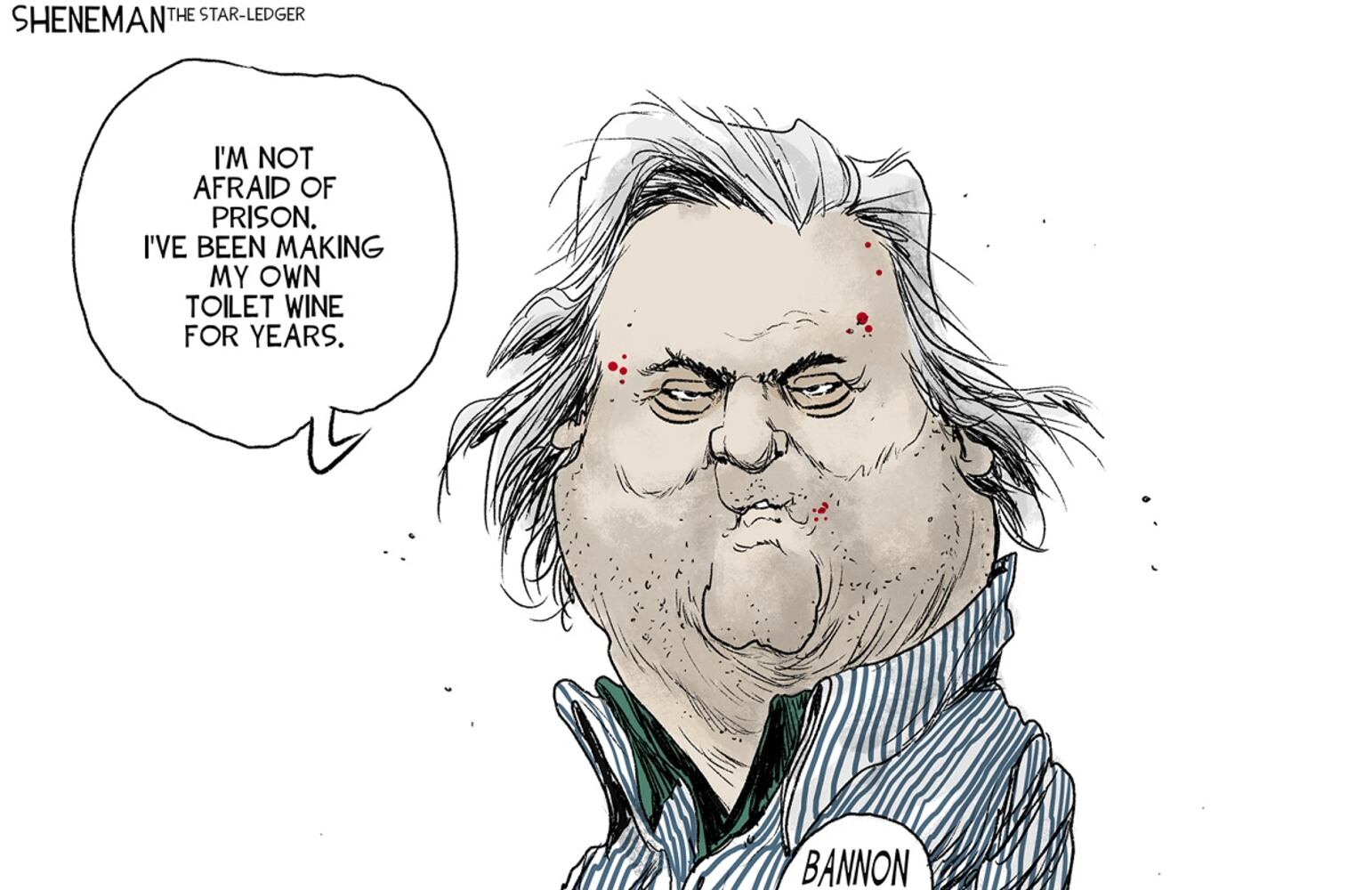WEEK IN CARTOONS: Rittenhouse trial, Big Bird and more