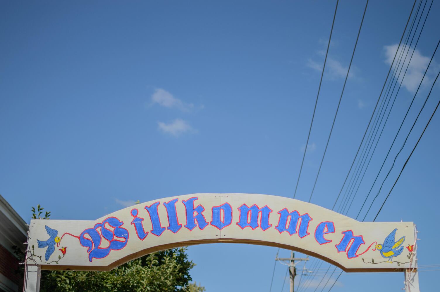 PHOTOS: 5th annual Oktoberfest Springboro