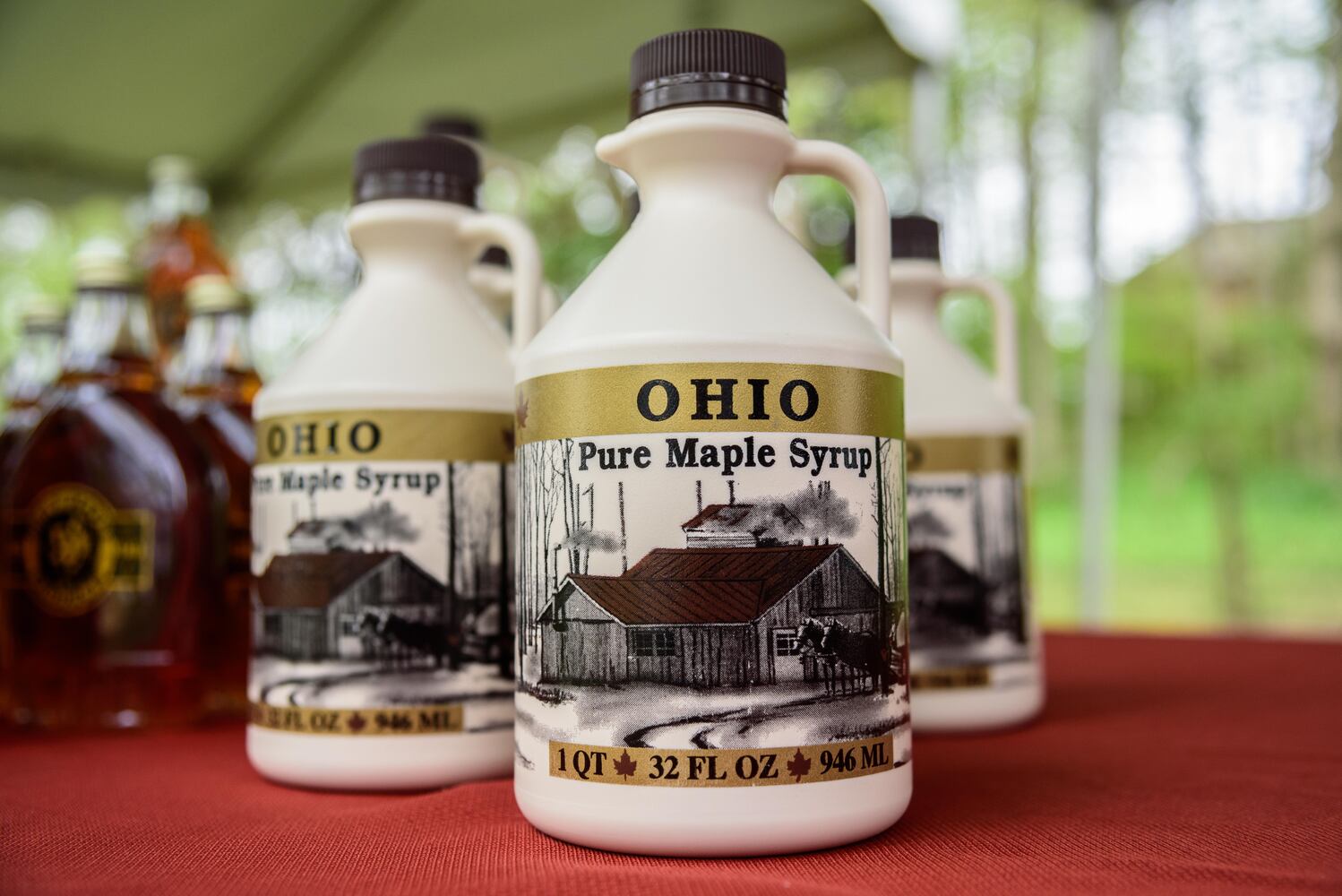 PHOTOS: Did we spot you having a sweet time at Sugar Maple Festival?