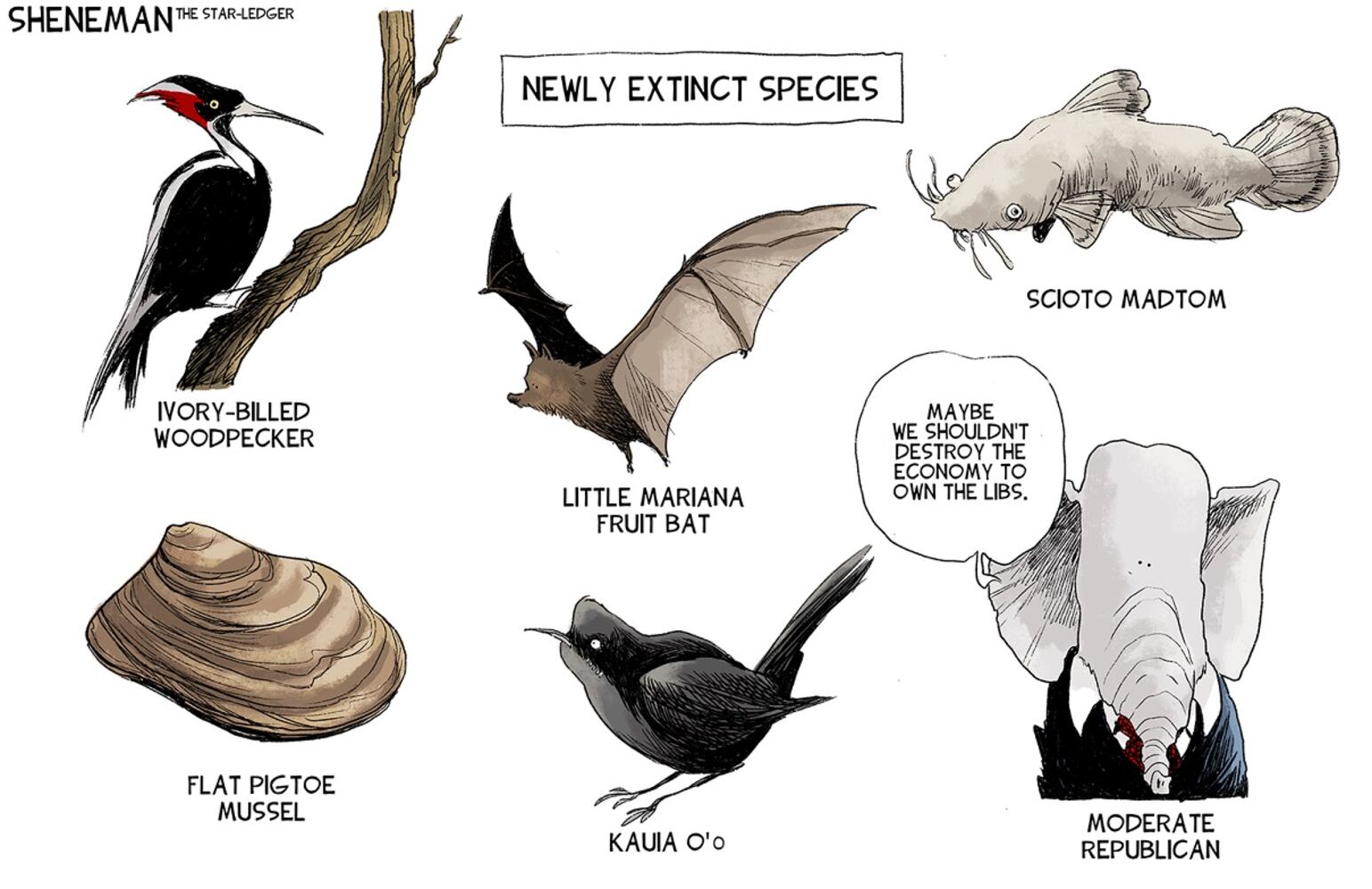 WEEK IN CARTOONS: Vaccines, immigration, spending and more