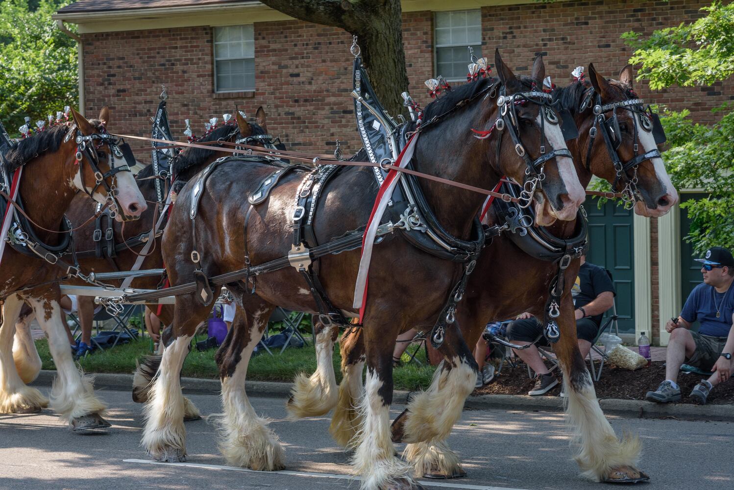 PHOTOS: Centerville-Washington Township Americana Festival Parade