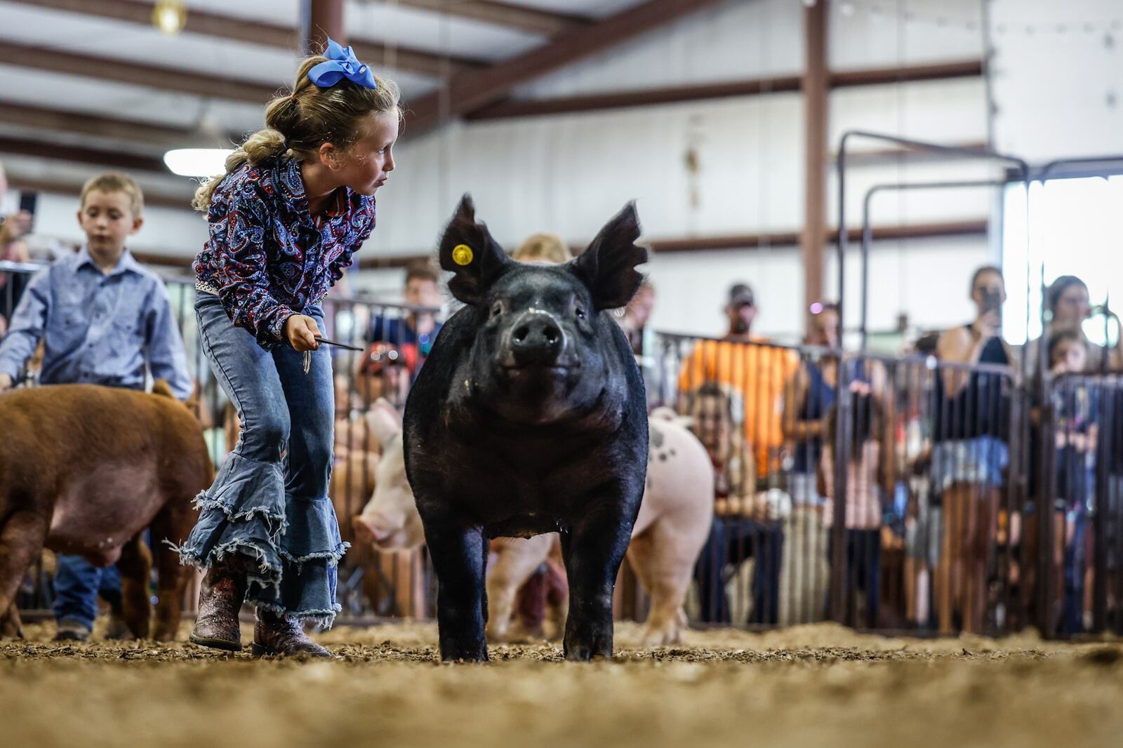 Audrey Guess, 7, from Jamestown, along with her hog, Dixie, won first in class at the Pee Wee Showmanship competition at the 2022 Greene County Fair. JIM NOELKER/STAFF