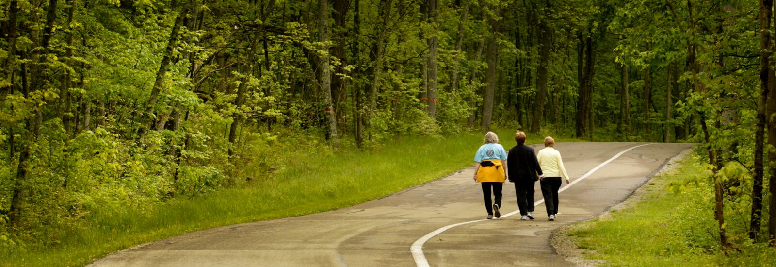 Over 12 miles of well-maintained trails for hiking and walking allow park visitors to explore Englewood MetroPark on foot. FILE