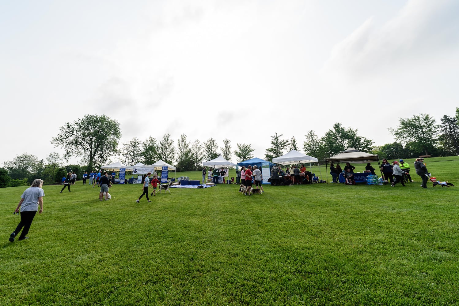 PHOTOS: Did we spot you at the Furry Skurry 5K at Stubbs Park in Centerville?
