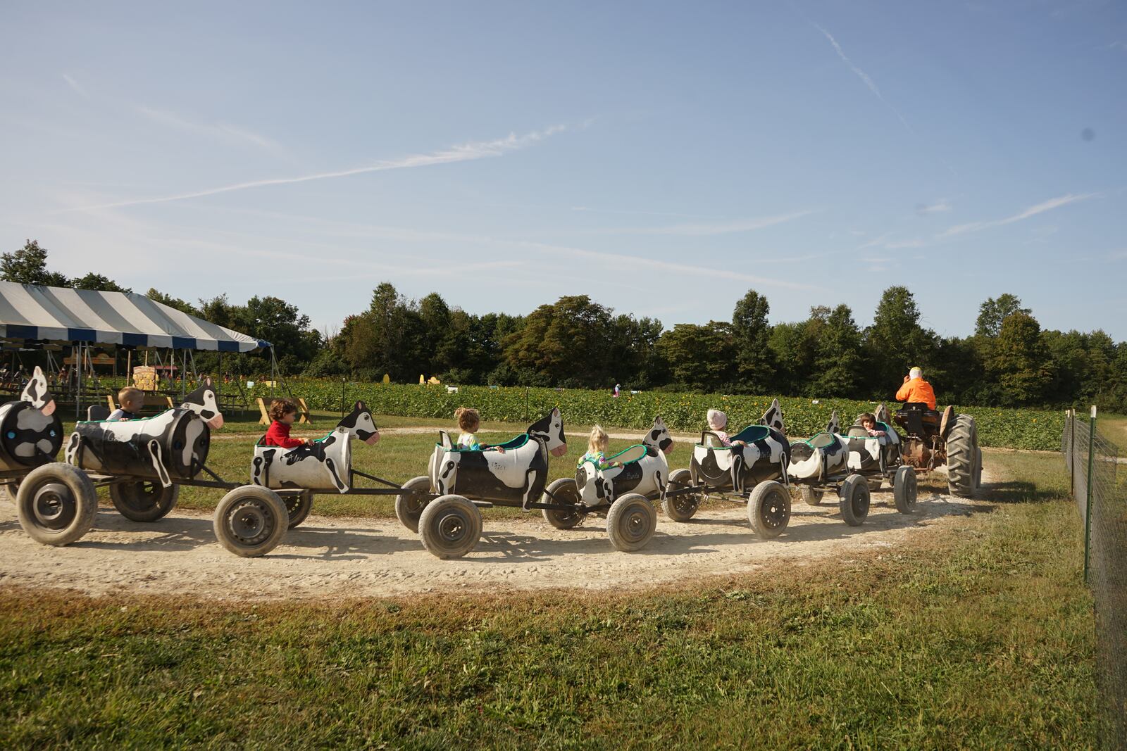 Blooms and Berries offers two corn mazes, a 15-20 minute mini-maze for young children and their families and a 5-acre, approximately one-hour maze for adults. CONTRIBUTED