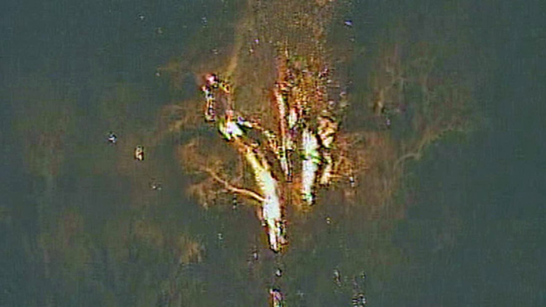 Senator tree on fire