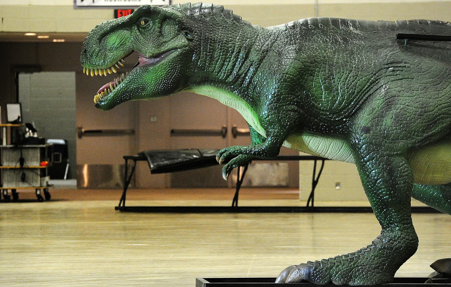 Jurassic Quest