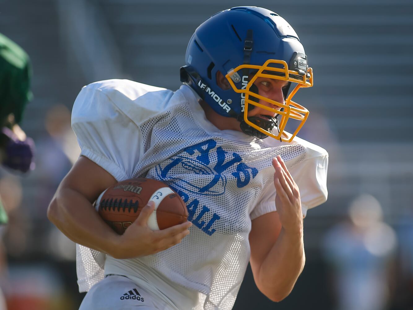 hsfb