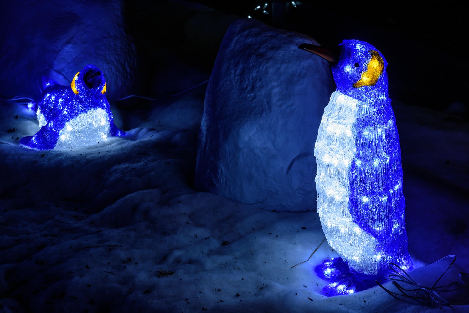 PHOTOS: Christmas Light Spectacular at Cedar Springs Pavilion