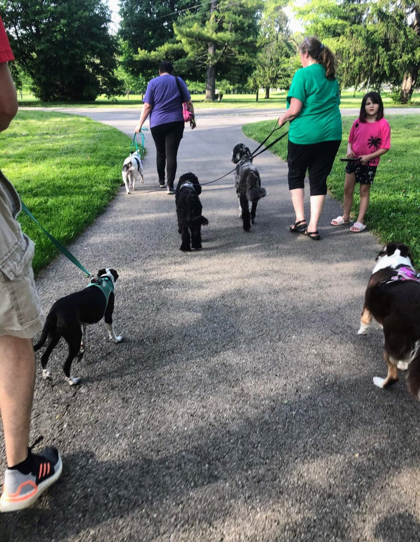 Bahati & Frey's pack walks offer time to socialize for puppies and people. CONTRIBUTED 