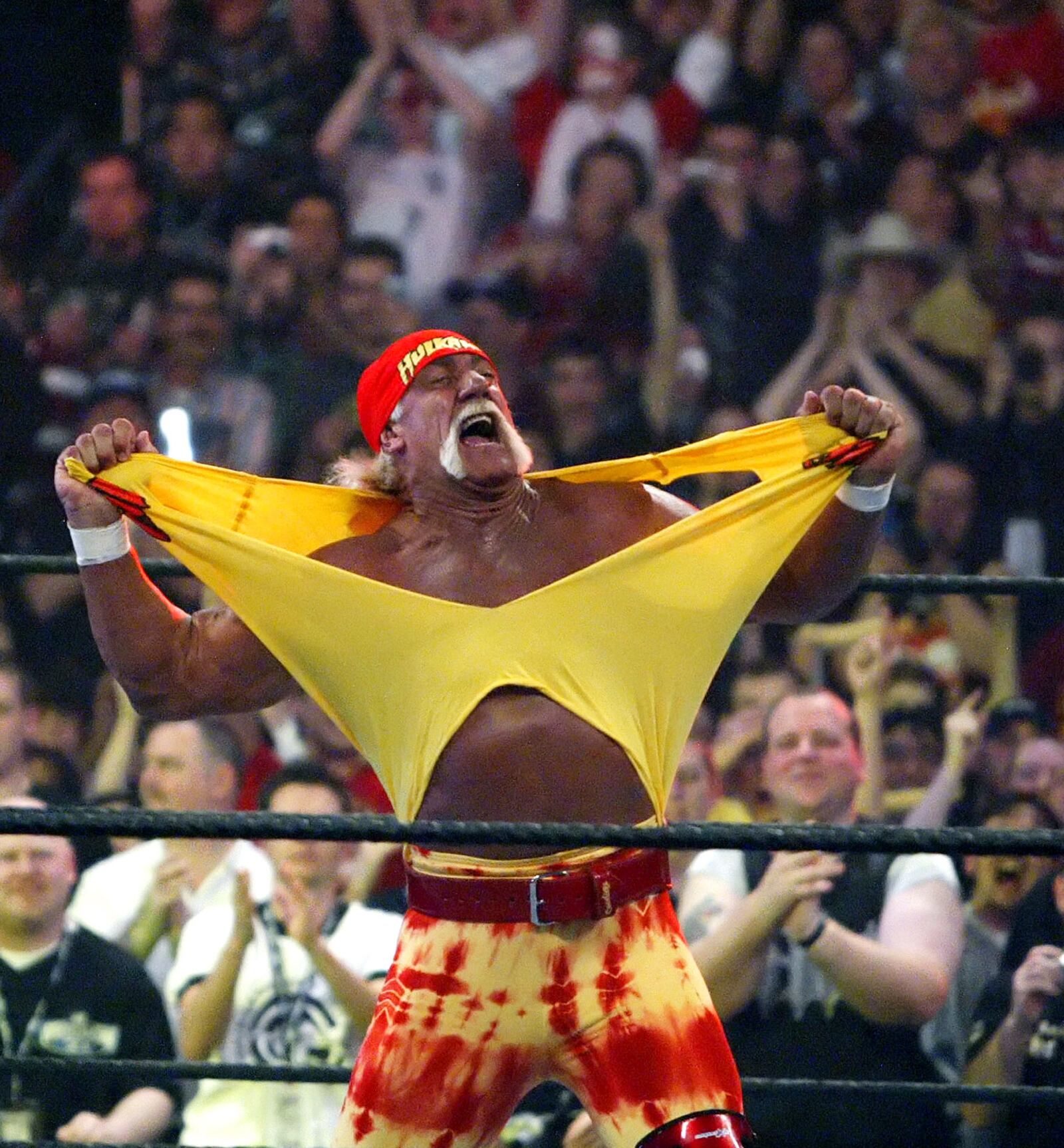 FILE - Hulk Hogan fires up the crowd between matches at WrestleMania 21 at the Staples Center in Los Angeles, April 3, 2005. (AP Photo/Chris Carlson, File)