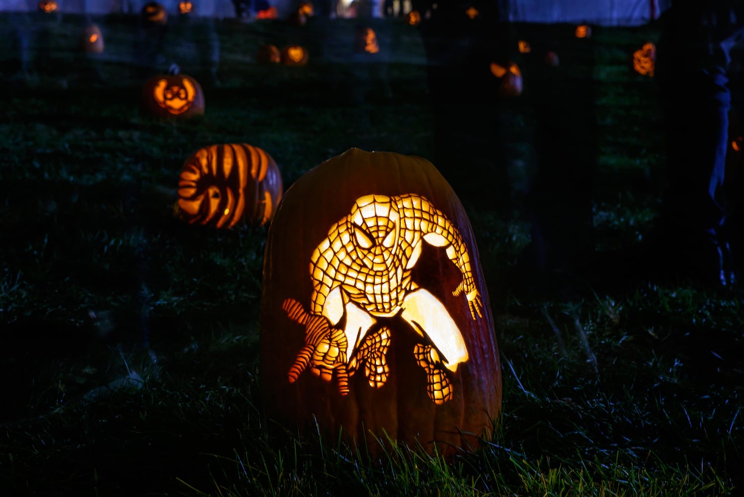 PHOTOS: 2025 Stoddard Avenue Pumpkin Glow