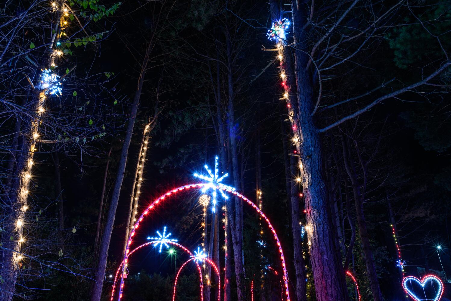 PHOTOS: A walk through Woodland Lights in Washington Township