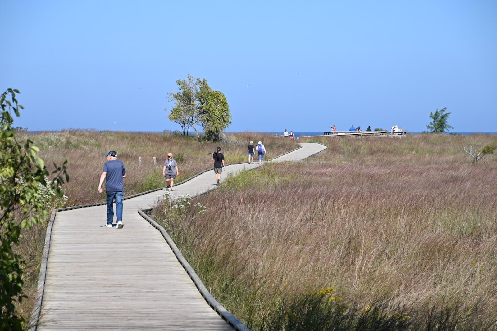 The Headlands Birding Festival will be held Sept. 19-21 in Mentor, Ohio. Contributed