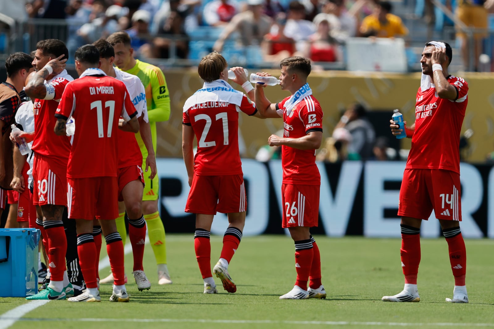 Benfica players take a cooling break during the Club World Cup Group C soccer match between Benfica and Bayern Munich in Charlotte, N.C., Tuesday, June 24, 2025. (AP Photo/Nell Redmond)