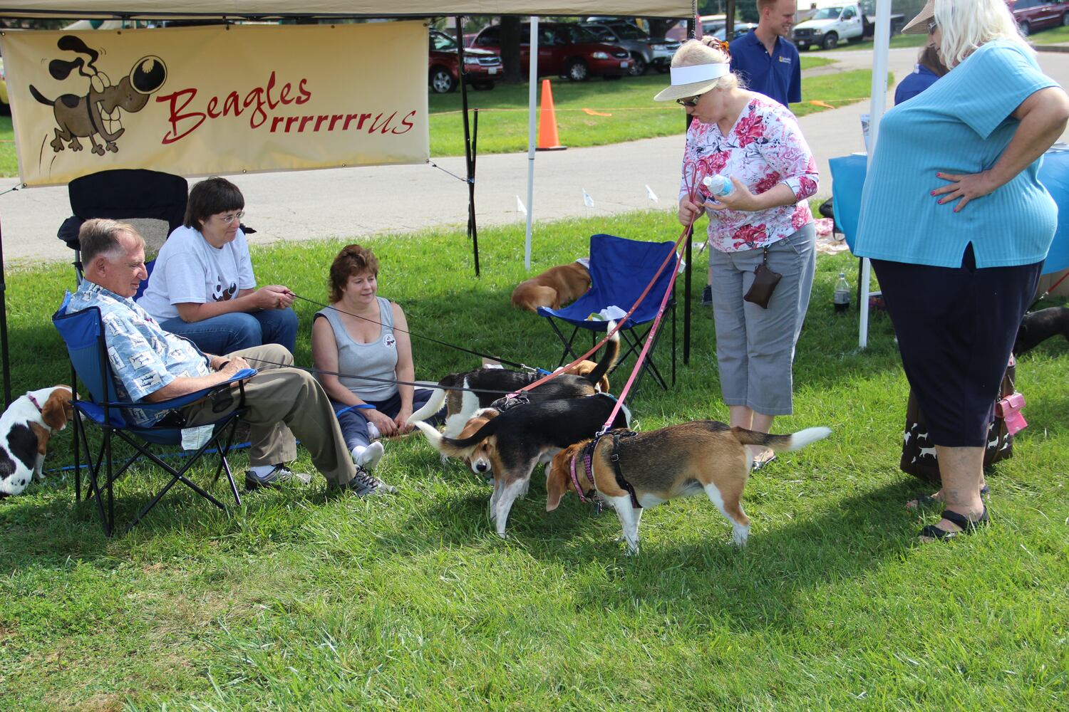 Dogs have some fun in the water at the annual Doggie Dash 'N Splash