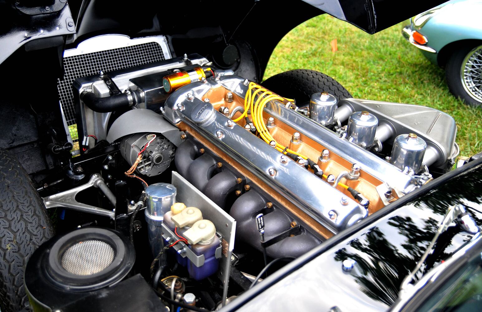 PHOTOS: Did we spot you at British Car Day?