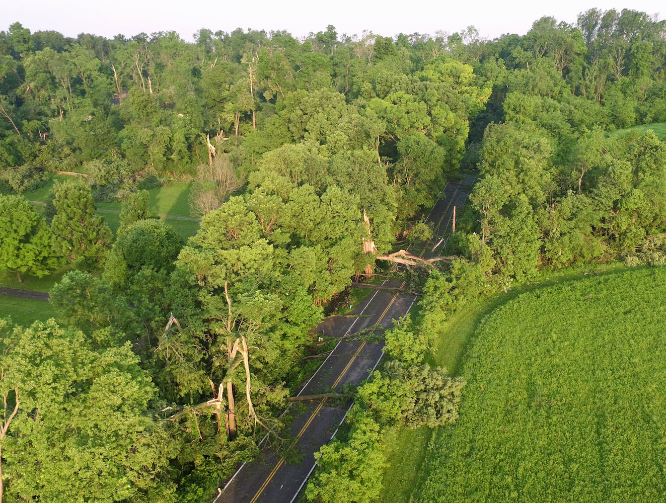 PHOTOS: Beavercreek storm damage