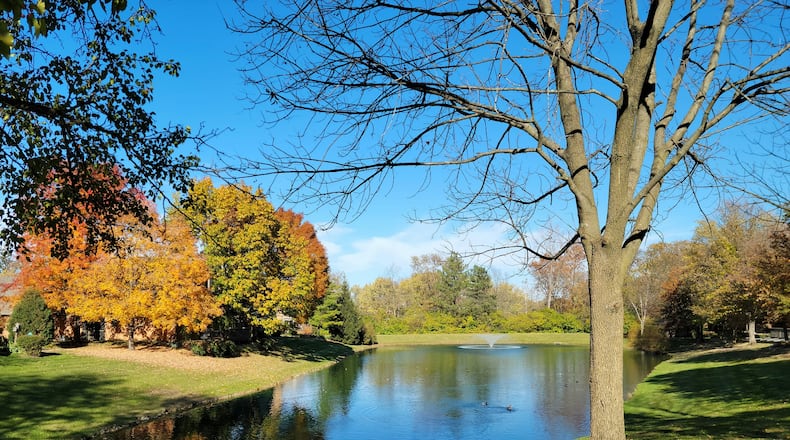 Kettering is launching a new Heritage Tree program, recognizing trees that enhance the character and natural landscape. Up to 10 trees each year will be awarded throughout the community, whether at residential, commercial or public park sites. CONTRIBUTED