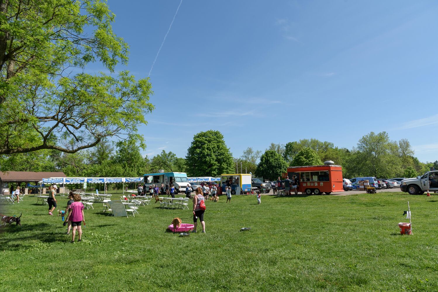 PHOTOS: Did we spot you and your doggie during the Furry Skurry 5K & Furry Fest at Eastwood MetroPark?