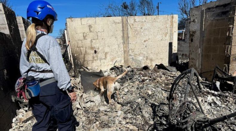 Ohio Task Force 1sent three Human Remains Detection canines and their handlers to Maui this week to help search for possible victims of the Maui wildfires. CONTRIBUTED/OHIO TASK FORCE 1