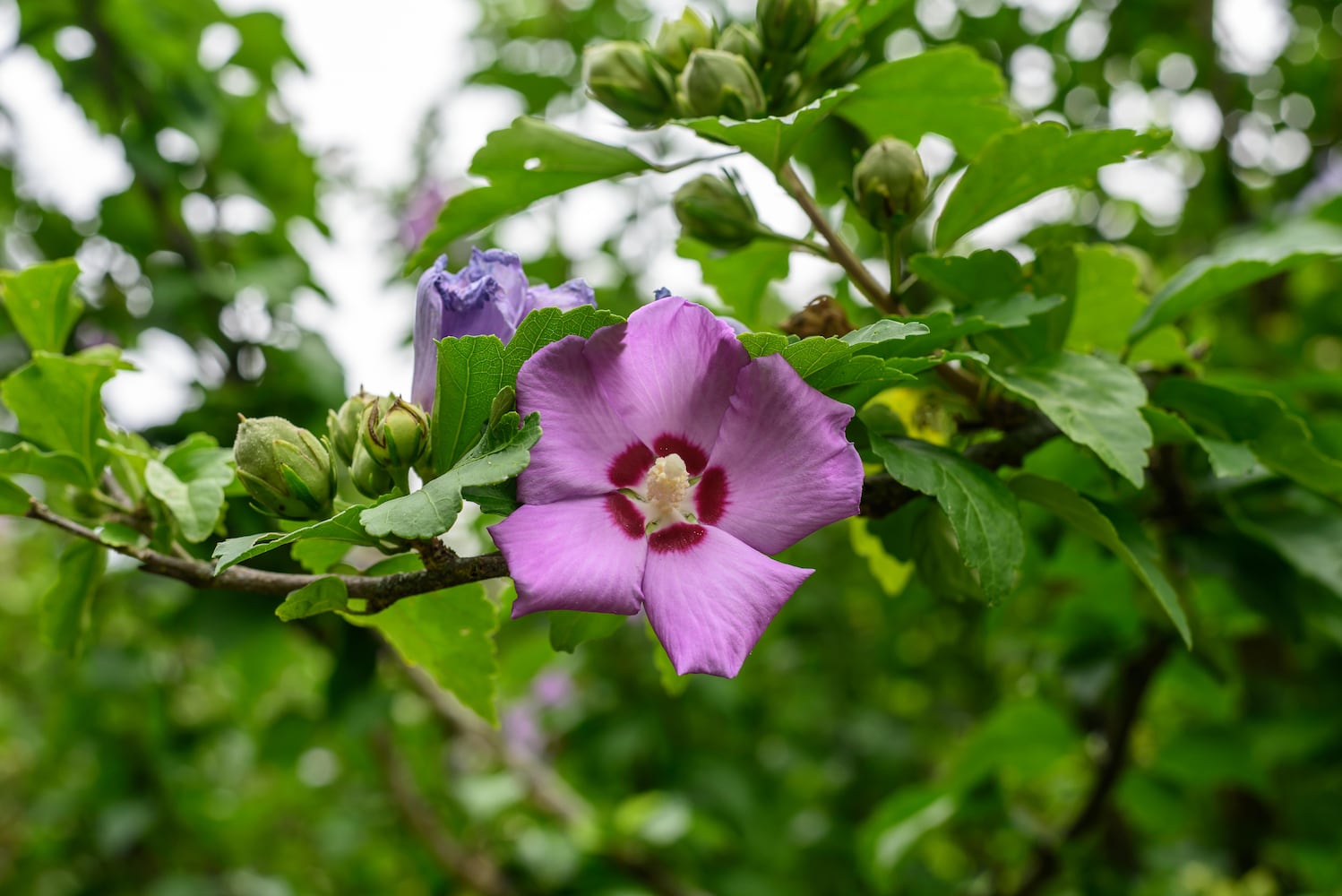 PHOTOS: 2025 Small Farm & Food Fest at Carriage Hill MetroPark