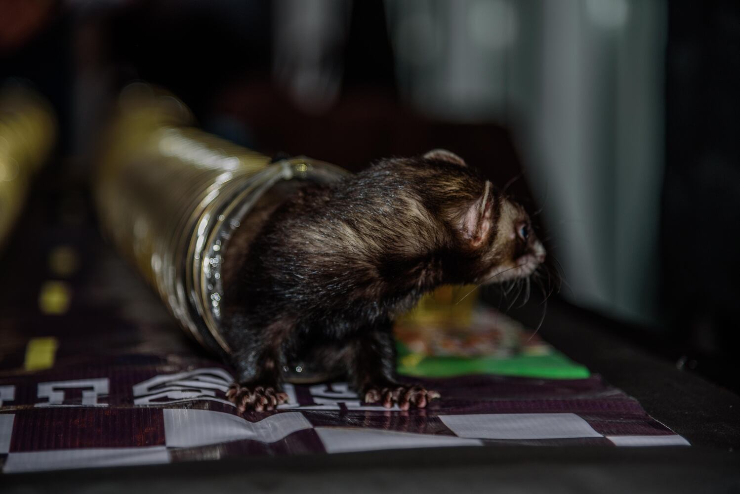 PHOTOS: EUREKA! A science experiment for grown-ups