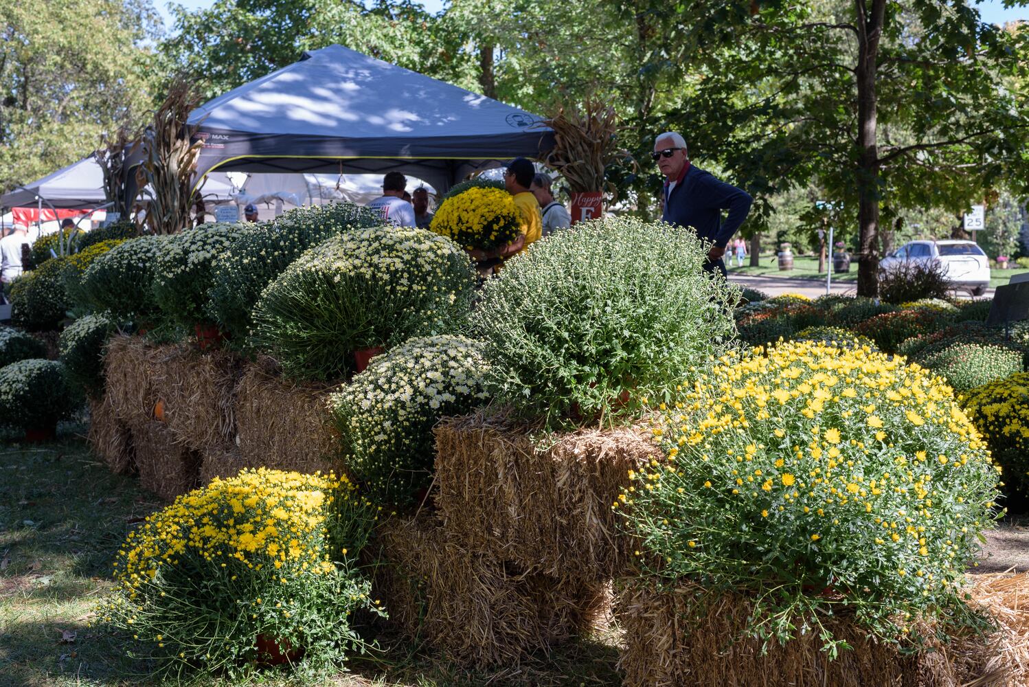 PHOTOS: Did we spot you at the Tipp City Mum Festival?