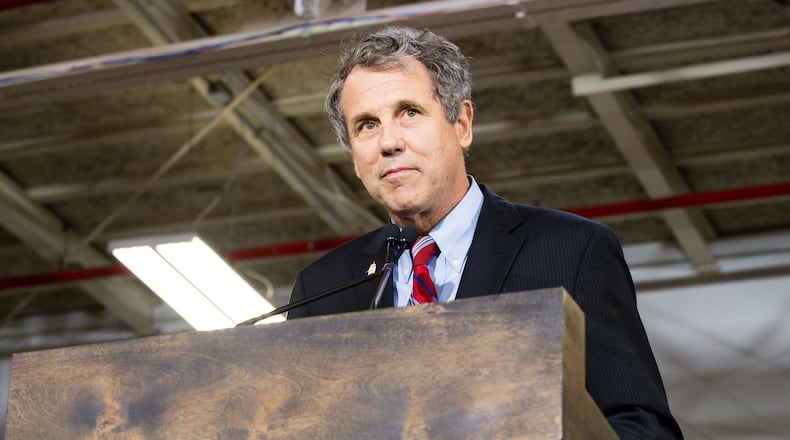 Sen. Sherrod Brown (D-OH) speaks at a campaign rally for Democratic presidential candidate Hillary Clinton on June 13, 2016 in Cleveland.(Photo by Angelo Merendino/Getty Images)