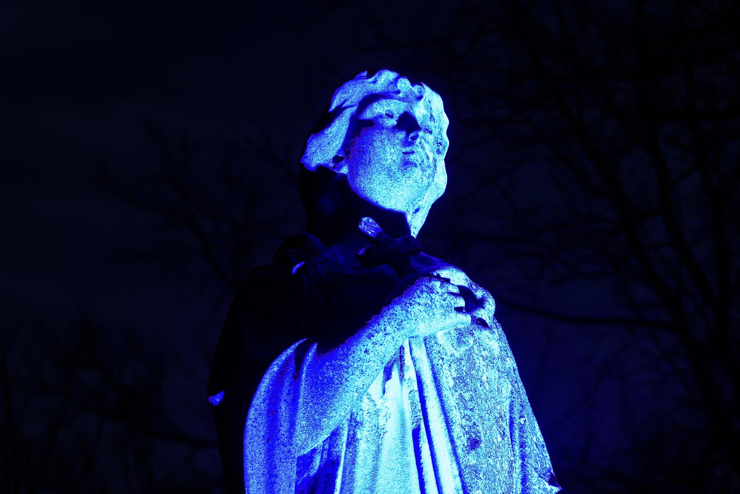 PHOTOS: Angel Night at Calvary Cemetery