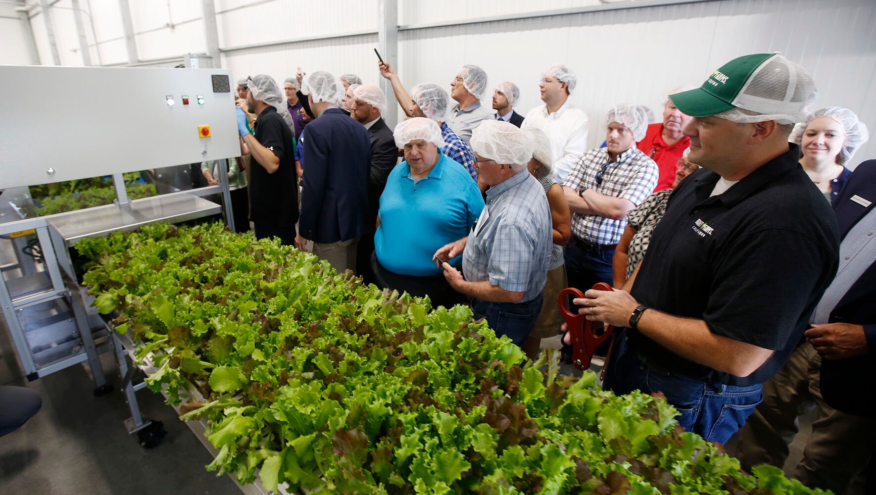 BrightFarms Ohio Greenhouse harvests first hydroponic greens in Wilmington