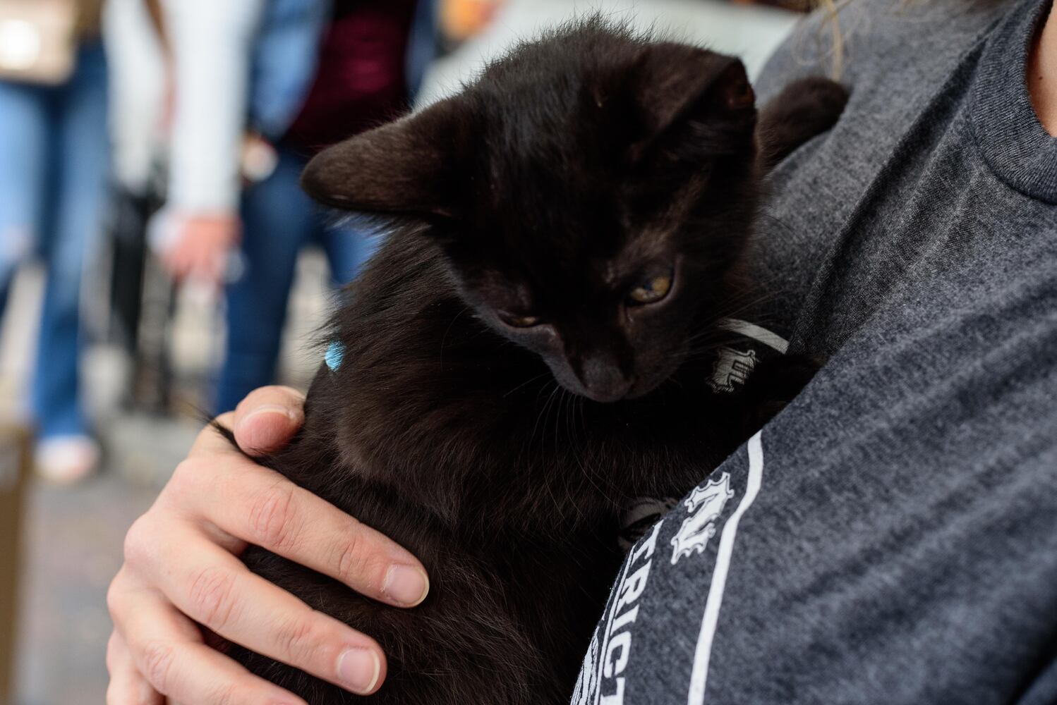 PHOTOS: Did we spot you at the return of Taste of the Oregon District?