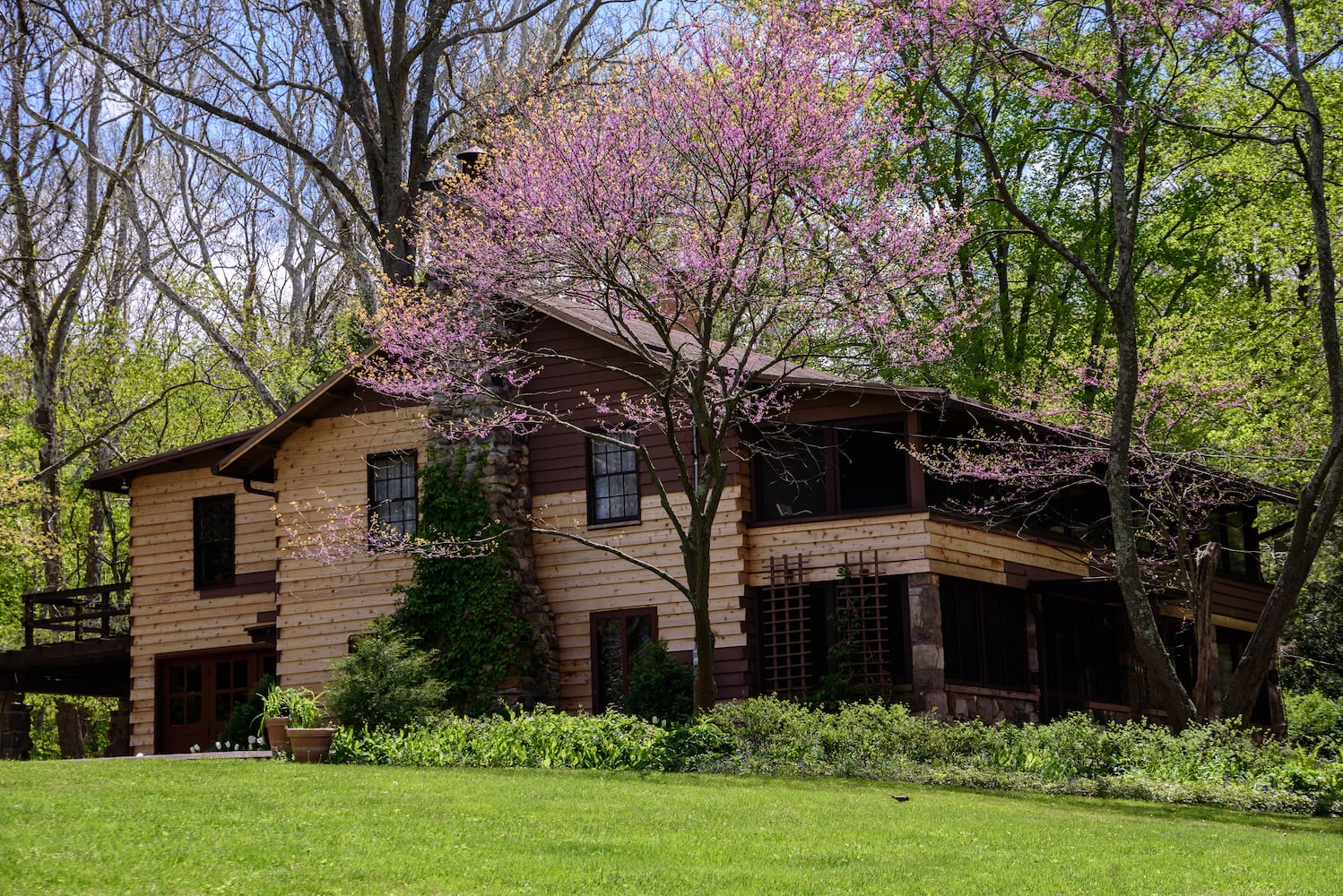 PHOTOS: Gorgeous Aullwood Garden is in full bloom