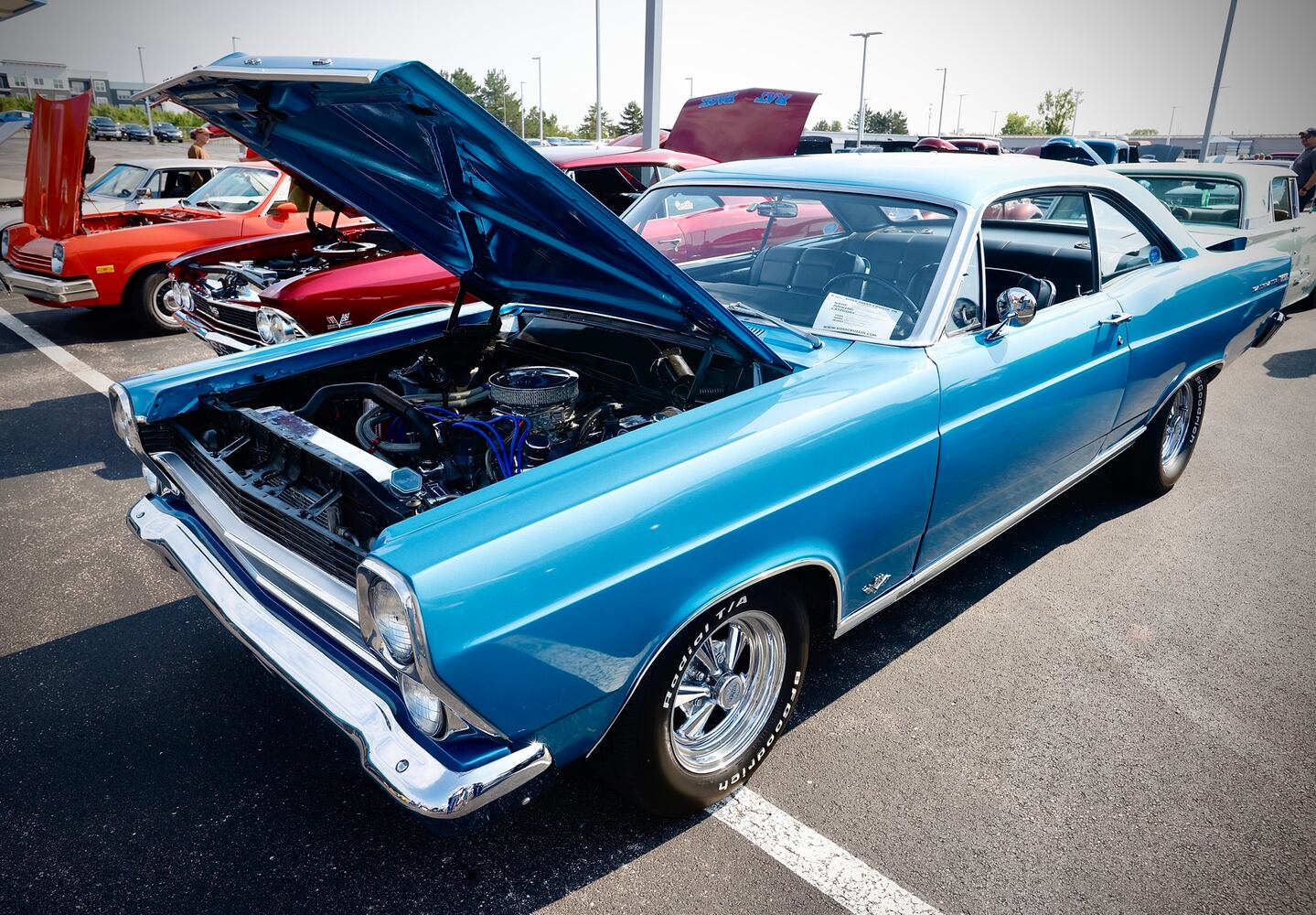 Cruise in