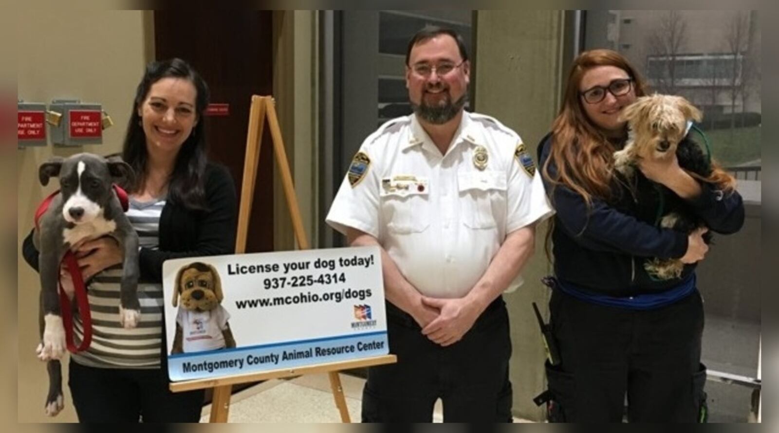 Montgomery County kicked off its 2017 dog licensing effort Dec. 4, 2016, with a news conference in the county building. Two dogs available for adoption were on hand. Pictured are Jessie Sullivan of SICSA holding Royal, a pitbull terrier mix, county Animal Resource Center Director Mark Kumpf, and ARC employee Estelle Johnson holding a Yorkshire terrier named Chicago. LYNN HULSEY / STAFF