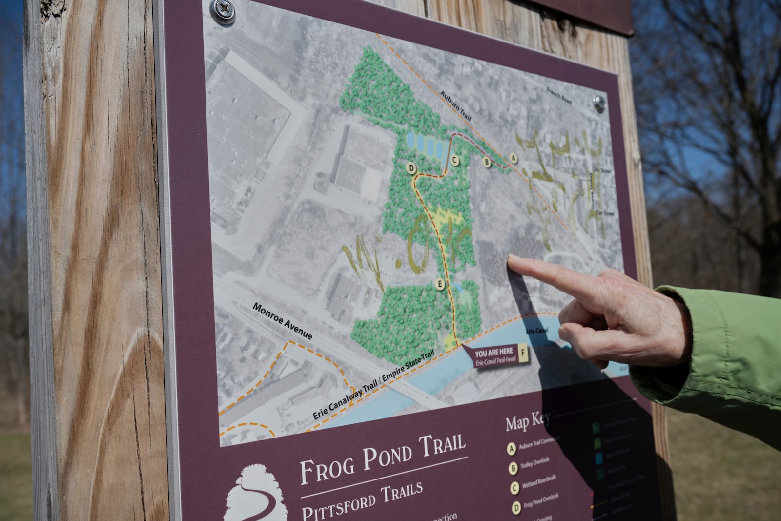 Margot Fass points to the Frog Pond Trail map Friday, March 21, 2025, in Pittsford, N.Y. (AP Photo/Maryel Pryce)