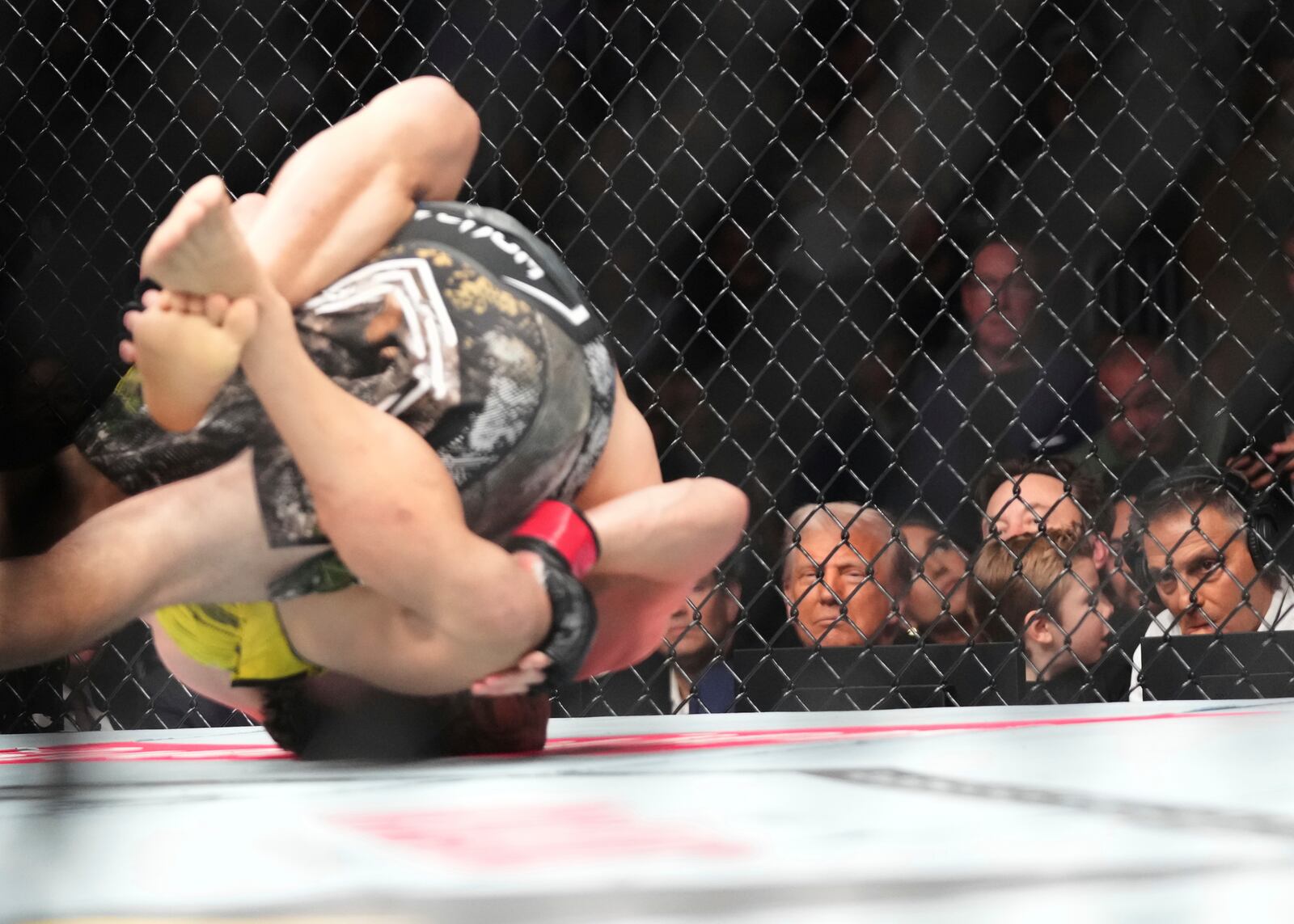 President Donald Trump, from left, and Elon Musk's son X Æ A-Xii watch a mixed martial arts fight at UFC 314, Saturday, April 12, 2025, in Miami. (AP Photo/Lynne Sladky)