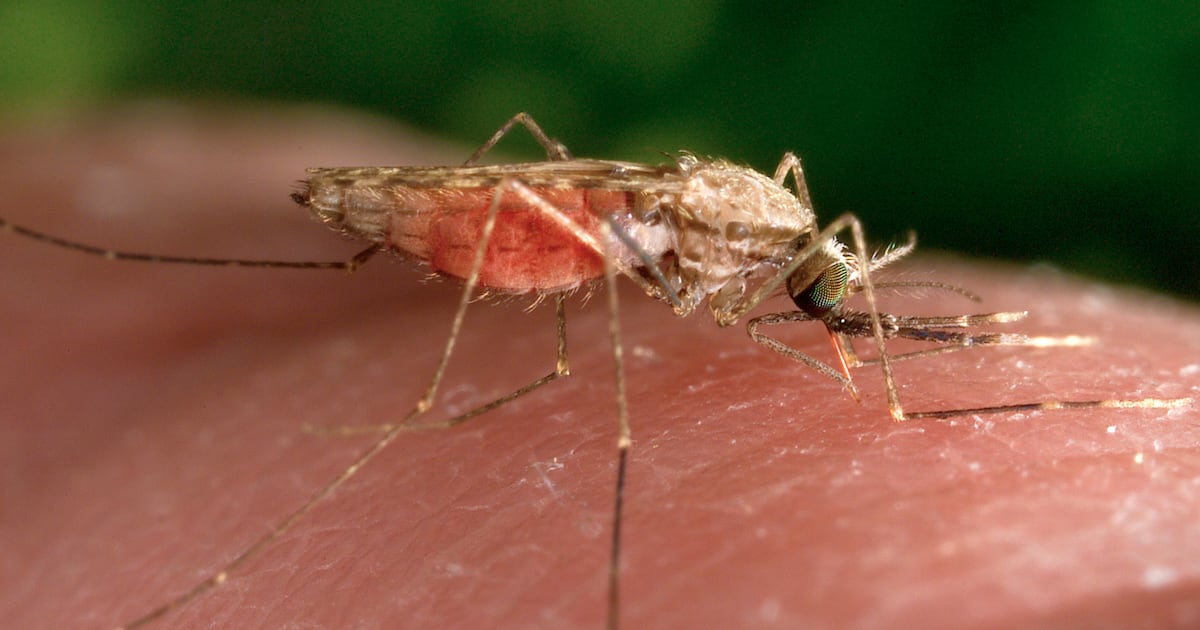 Swiss medicines authority issues first approval for antimalarial drug for treatment of...