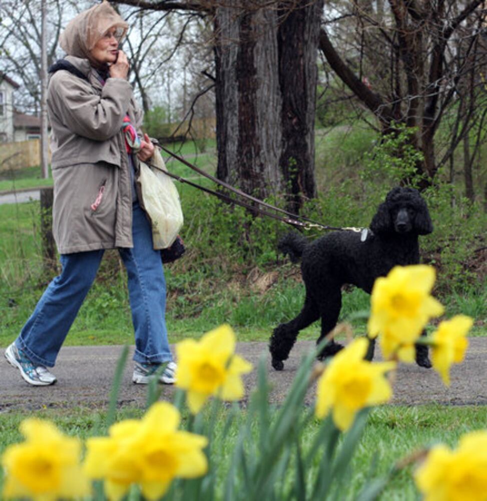 Spring Bulb Festival
