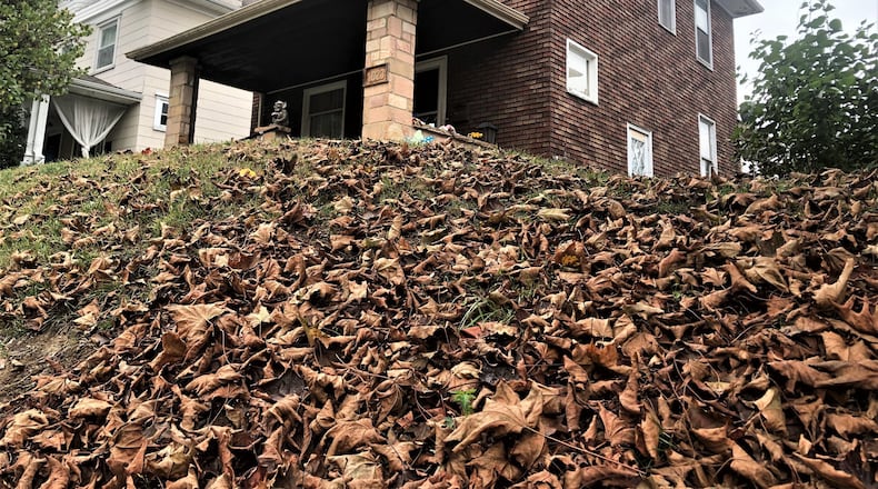 Loose-leaf collection returns to Dayton for the first time in nearly a decade this month. The service was eliminated as part of budget cuts. CORNELIUS FROLIK / STAFF