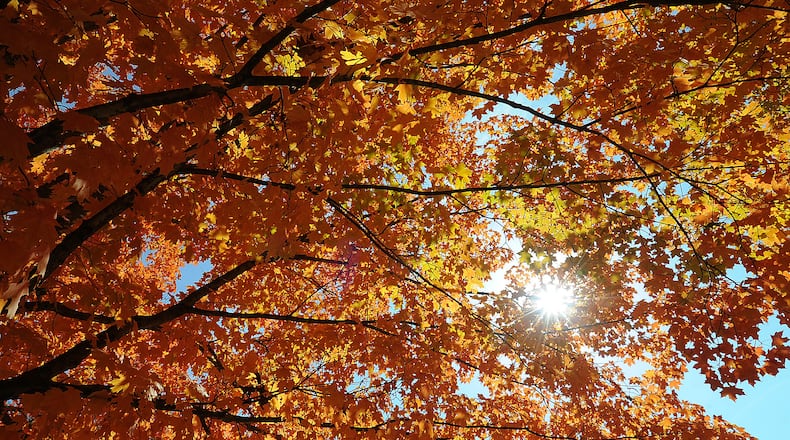 The sun shines through the beautiful fall leaves at Thomas A. Cloud Memorial Park in Huber Heights Tuesday Oct. 11, 2022. MARSHALL GORBY\STAFF