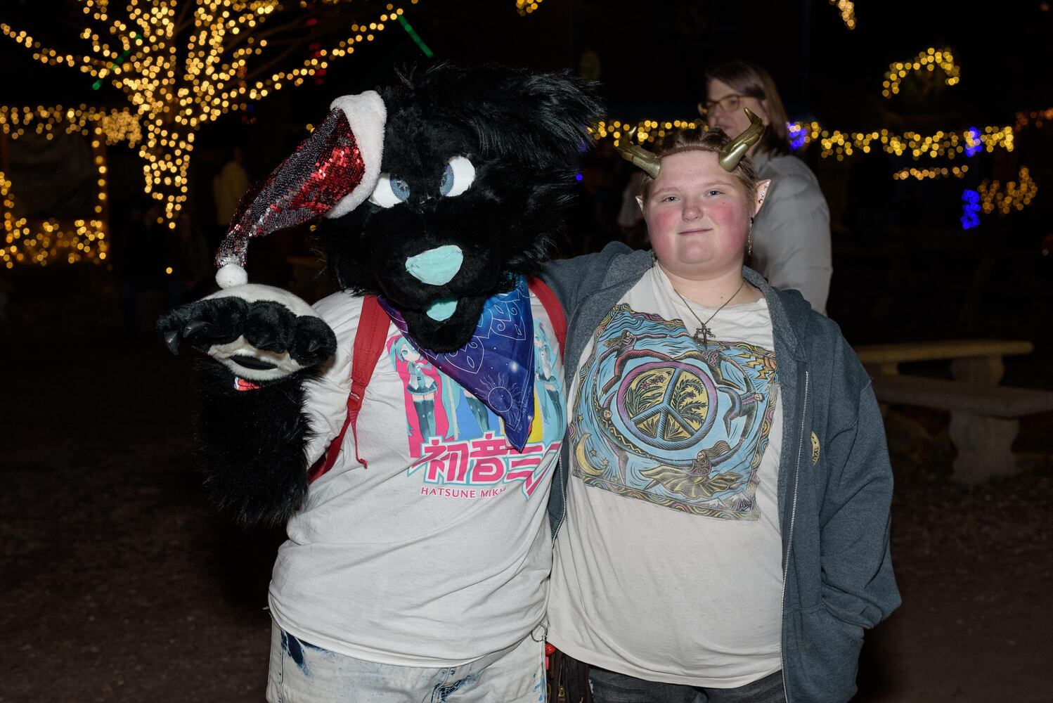 PHOTOS: Yuletide Village: Season of Lights at Renaissance Park Event Center