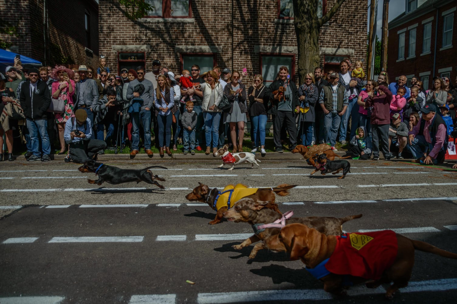 Derby Day in the Oregon District 2017