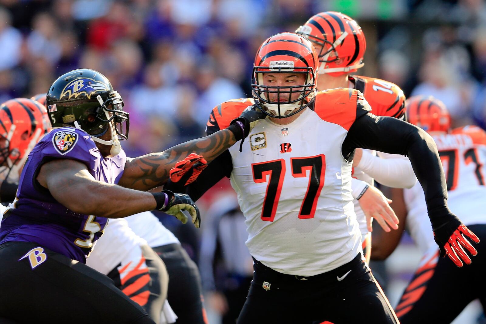 BALTIMORE, MD - NOVEMBER 10: Tackle Andrew Whitworth #77 of the Cincinnati Bengals blocks outside linebacker Terrell Suggs #55 of the Baltimore Ravens at M&T Bank Stadium on November 10, 2013 in Baltimore, Maryland. (Photo by Rob Carr/Getty Images)