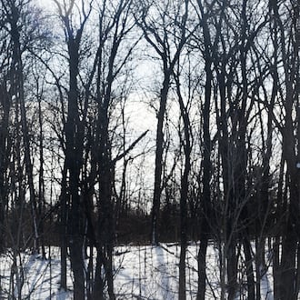 The city of Vandalia has declined to place a referendum on the May ballot which would have given voters the final say on an ordinance approving a planned housing development on South Brown School Road. STAFF