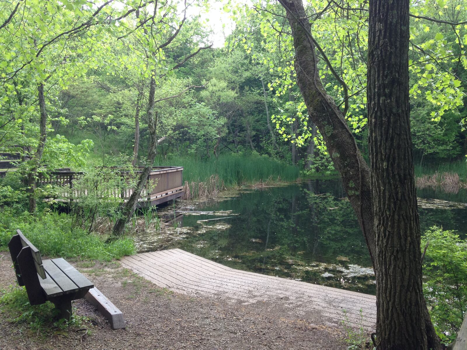 Brukner Nature Center: This place is a thrill for outdoorsy types. There is a combination of wildlife, Ohio history and trails for hiking, which makes this a great place to go exploring. Check out their events and programs – Bird Hikes and Family Discovery Days are held every month!