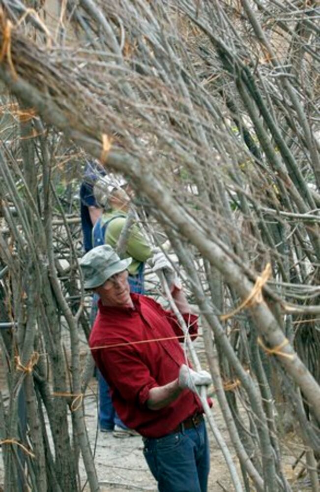 "Woven Wood" artist Patrick Dougherty