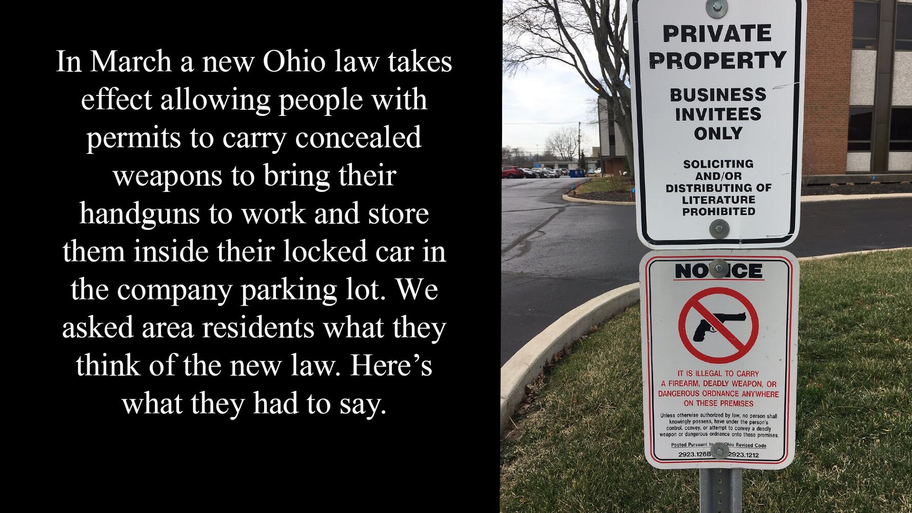 Gun law opinions
