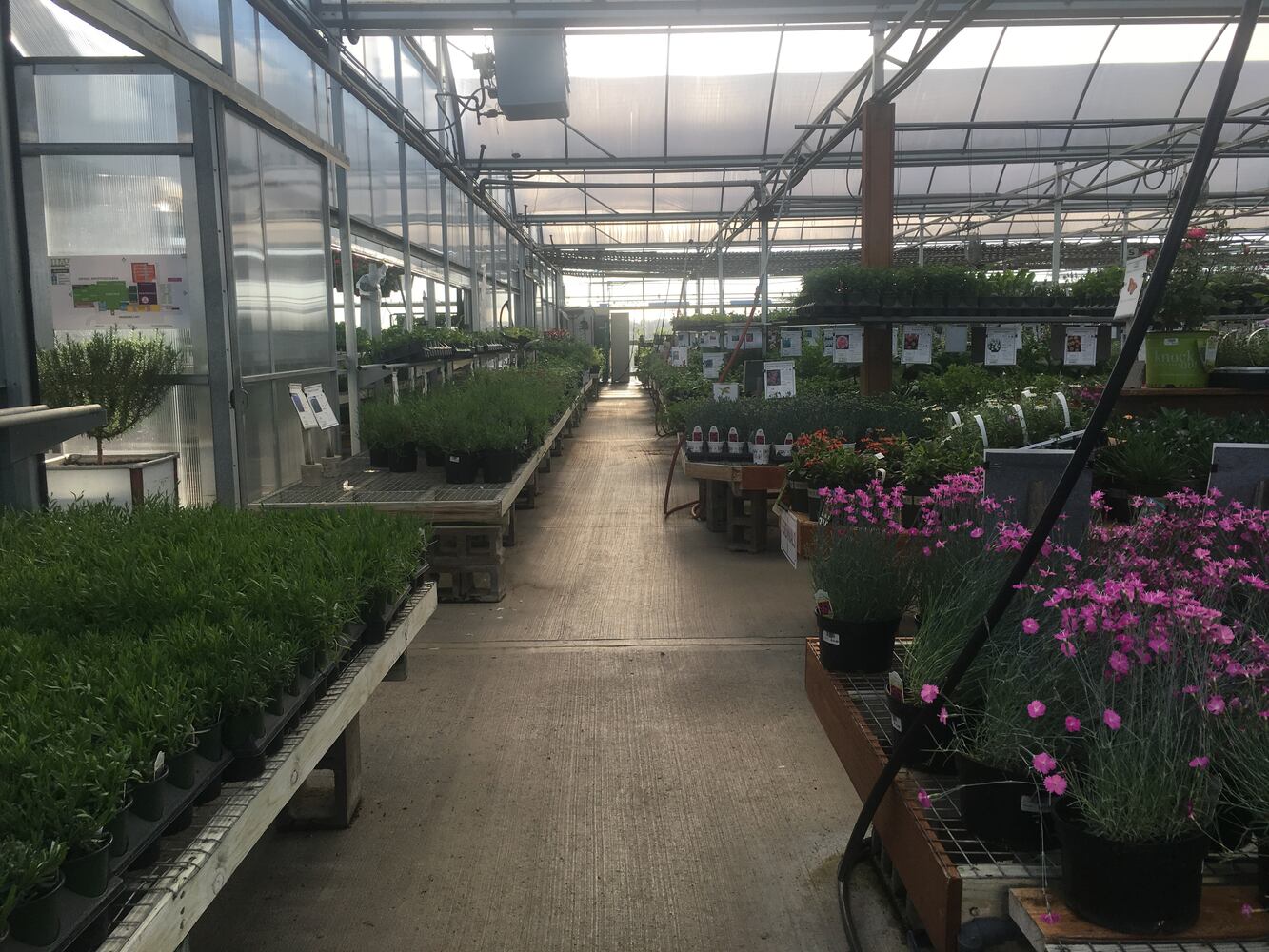 Meadow View Growers