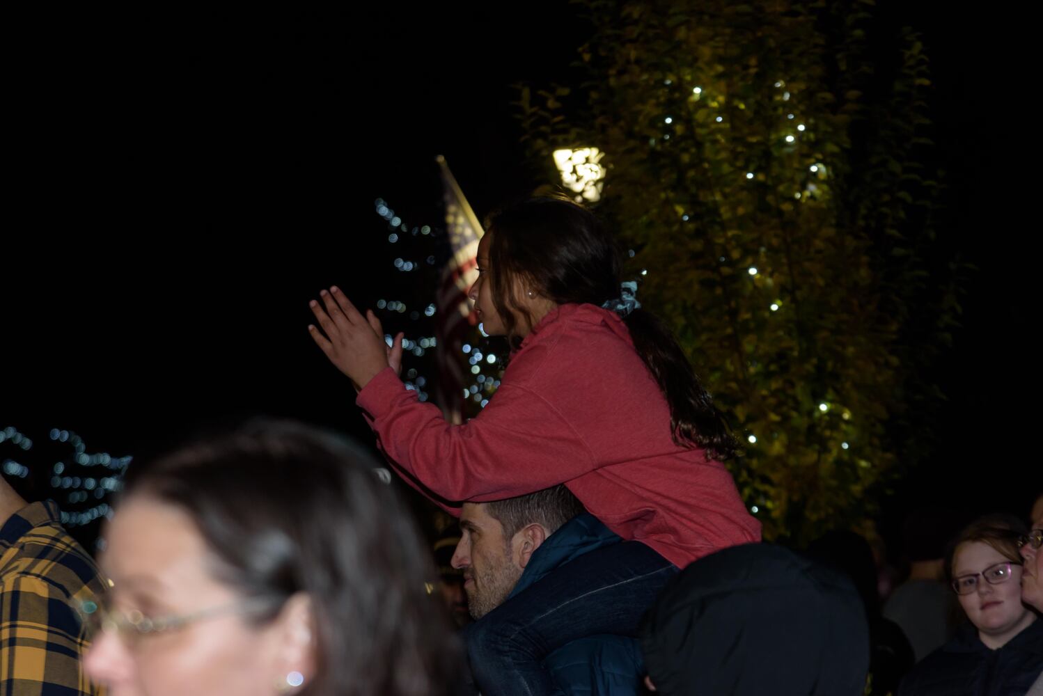 PHOTOS: Did we spot you at the Community Tree Lighting in downtown Tipp City?